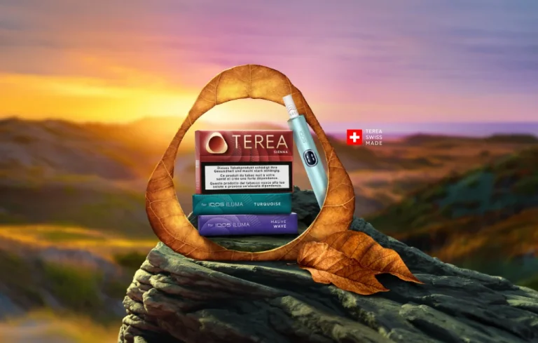 Главная Главная