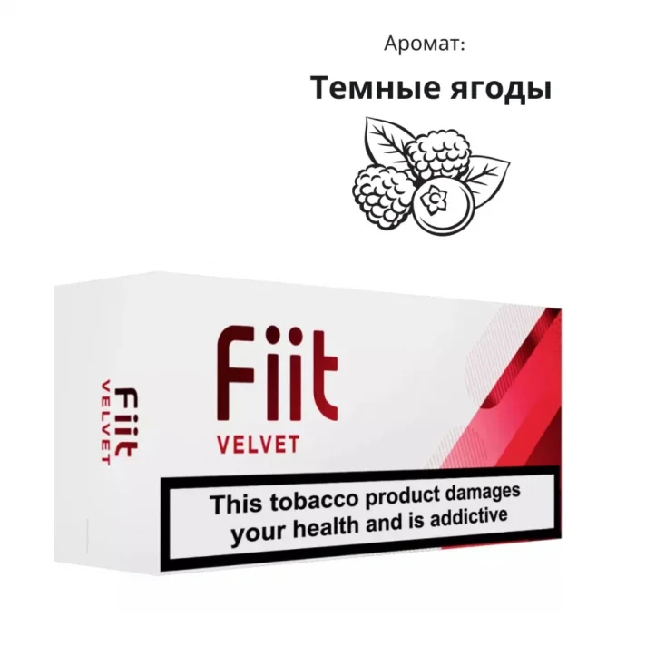 FiiT Velvet FiiT Velvet